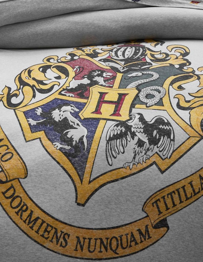 Funda cojín Harry Potter Harry Potter